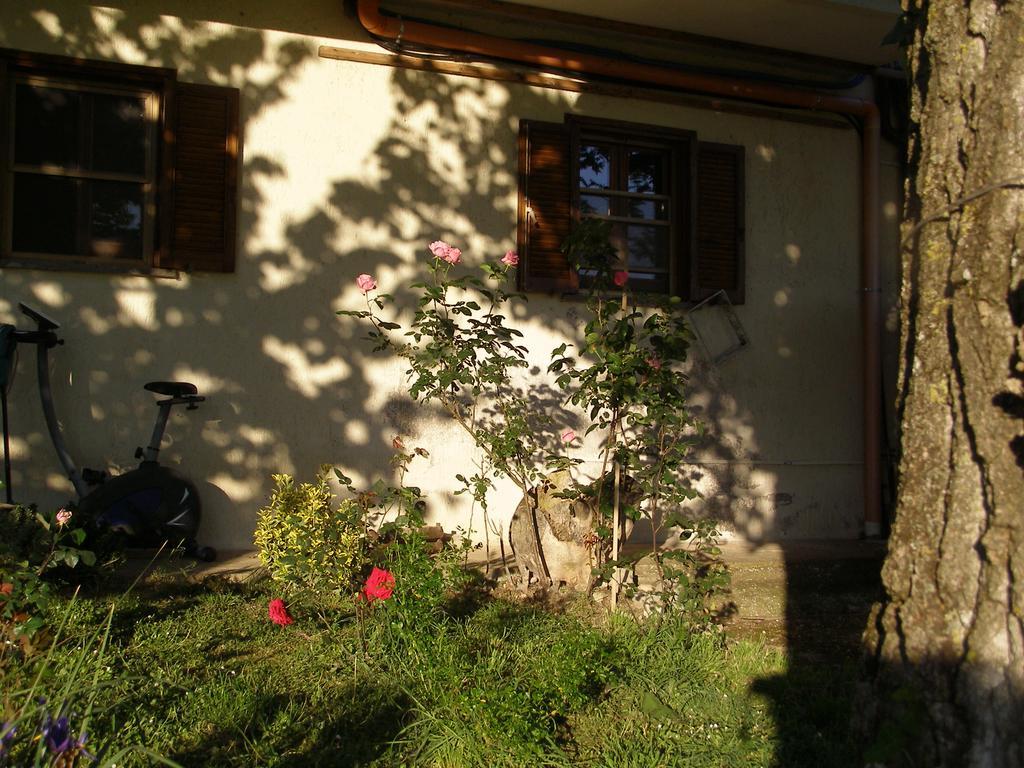 Bed And Breakfast Casale Isorella San Gemini Ngoại thất bức ảnh