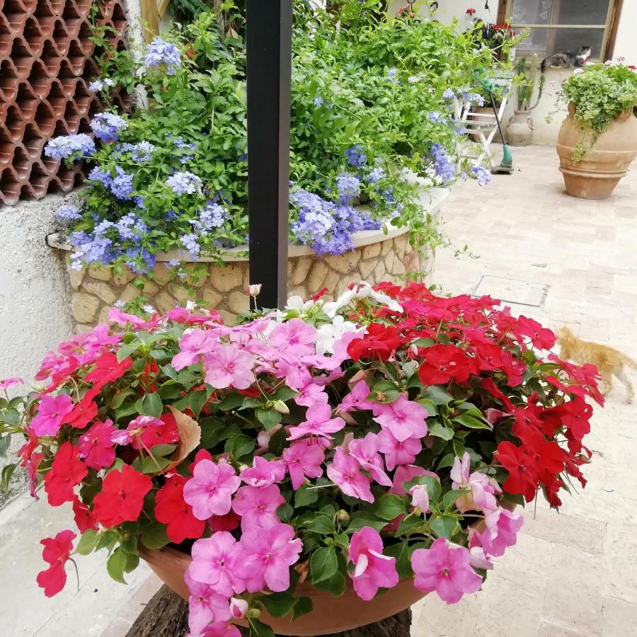 Bed And Breakfast Casale Isorella San Gemini Ngoại thất bức ảnh